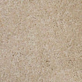 VIP Carpet Specialty Colors - 5 Feet Wide, Multiple Lengths