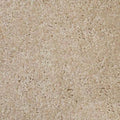 VIP Carpet Specialty Colors - 8 Feet Wide, Multiple Lengths