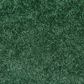 VIP Carpet Specialty Colors - 5 Feet Wide, Multiple Lengths