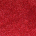 VIP Red Carpet - 5 Feet Wide, Multiple Lengths
