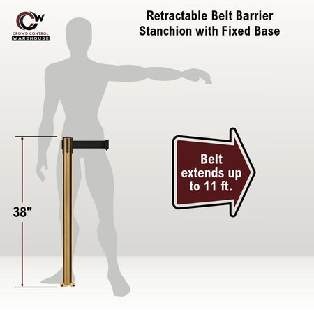 Retractable Belt Barrier Stanchion, Fixed Base, Satin Brass Post, 11 Ft. Belt - Montour Line MX630F - Crowd Control Warehouse