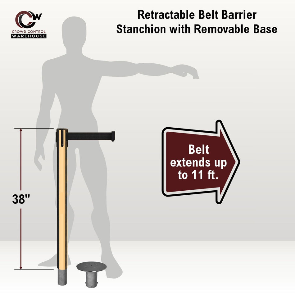 Retractable Belt Barrier Stanchion, Removable Base, Polished Brass Post, 11 Ft. Belt - Montour Line MX630R - Crowd Control Warehouse