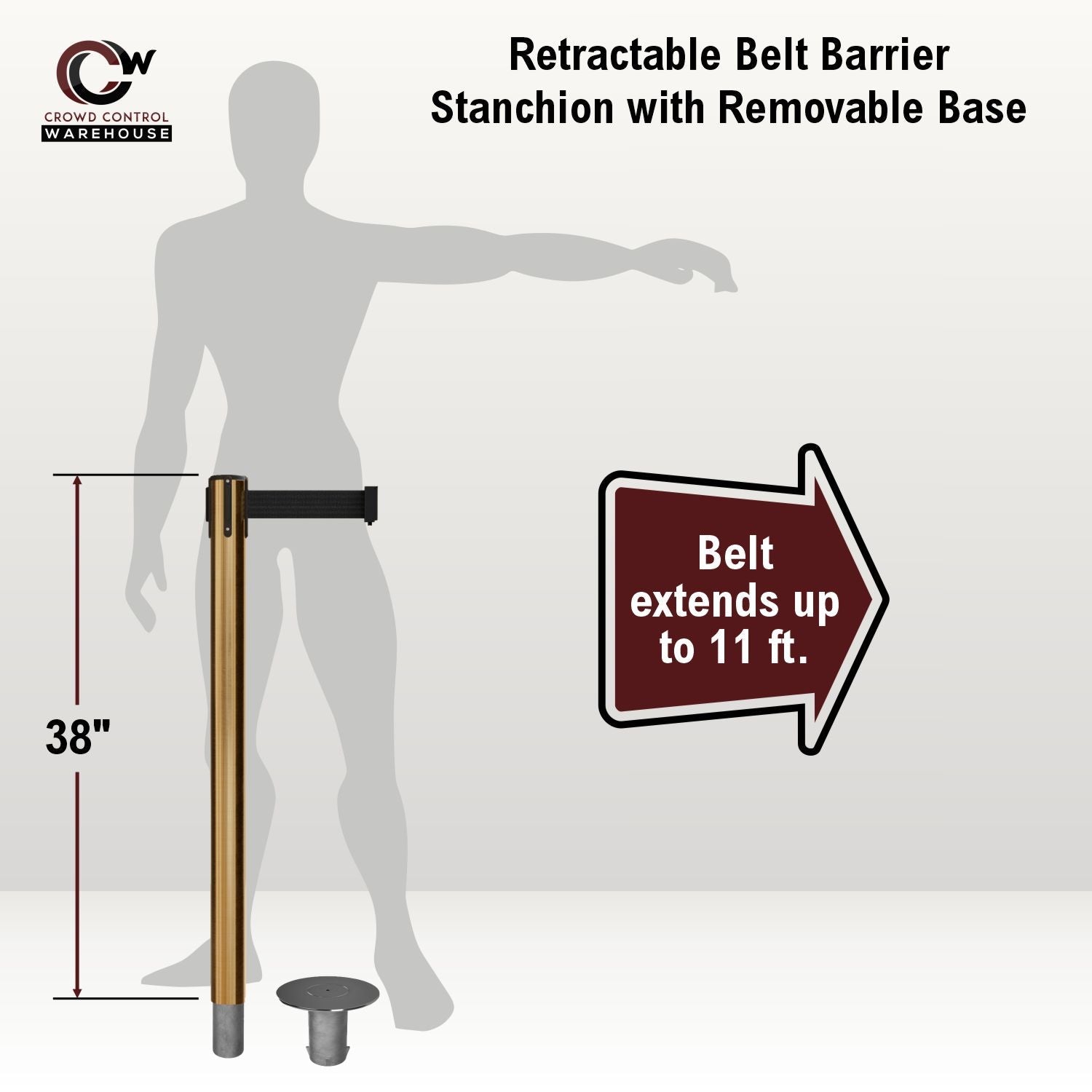 Retractable Belt Barrier Stanchion, Removable Base, Satin Brass Post, 11 Ft. Belt - Montour Line MX630R - Crowd Control Warehouse