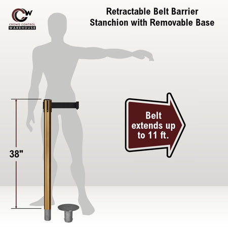 Retractable Belt Barrier Stanchion, Removable Base, Satin Brass Post, 11 Ft. Belt - Montour Line MX630R - Crowd Control Warehouse