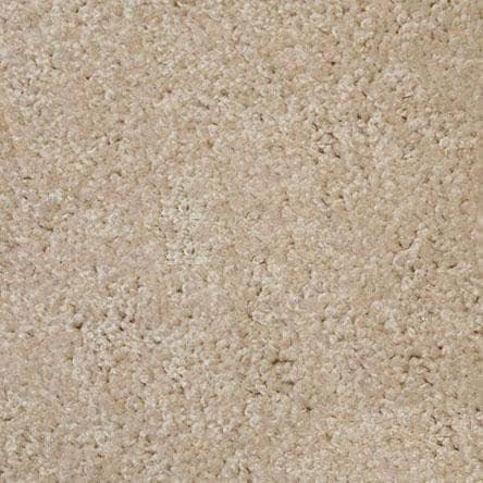 VIP Carpet Specialty Colors - 5 Feet Wide, Multiple Lengths - Crowd Control Warehouse