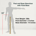 Flat Top Dual Rope Stanchion with Fixed Base - Montour Line CXLineDF