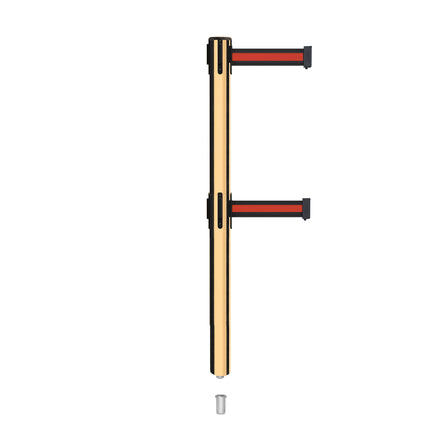Retractable Dual Belt Barrier Stanchion, Mini Socket Base, Polished Brass Post, 11 ft Belt - Montour Line MX630DSK