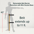 Retractable Dual Belt Barrier Stanchion, Mini Socket Base, Polished Brass Post, 11 ft Belt - Montour Line MX630DSK