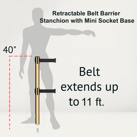 Retractable Dual Belt Barrier Stanchion, Mini Socket Base, Polished Brass Post, 11 ft Belt - Montour Line MX630DSK