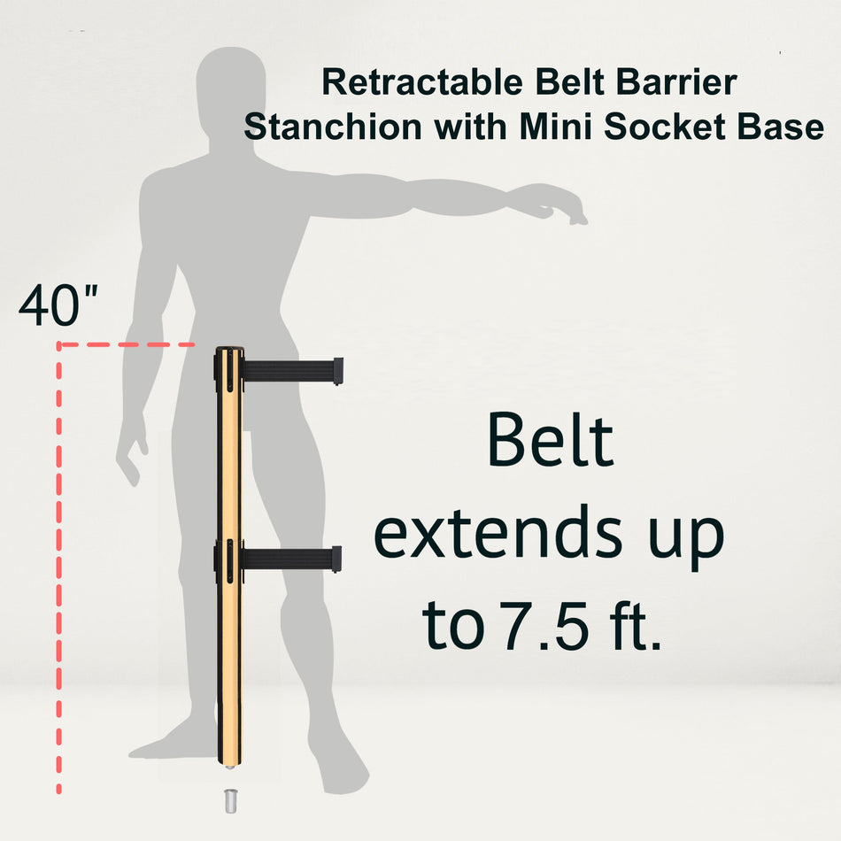 Retractable Dual Belt Barrier Stanchion, Mini Socket Base, Polished Brass Post, 7.5 ft Belt - Montour Line MX630DSK