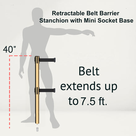 Retractable Dual Belt Barrier Stanchion, Mini Socket Base, Polished Brass Post, 7.5 ft Belt - Montour Line MX630DSK