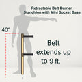 Retractable Dual Belt Barrier Stanchion, Mini Socket Base, Polished Brass Post, 9 ft Belt - Montour Line MX630DSK