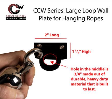 Large Loop (Dual Rope) Wall Plate Receiver for Hanging Ropes - Montour Line