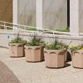 Large Round Concrete Planter - 30 in. x 24 in.
