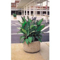Basic Round Concrete Planter - 30 in. x 18 in.
