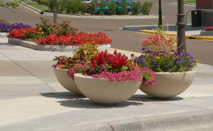 Large round outdoor concrete planters for sale perfect for flowers