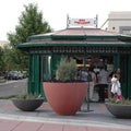 Oversized Large Concrete Bowl Planter - 60 in.