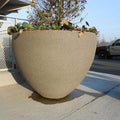 Medium Concrete Bowl Planter - 48 in.