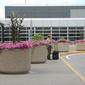 Large Circular Concrete Planter - 54 in. x 40 in.