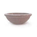 Dish Series Large Concrete Bowl Planter