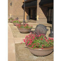 Dish Series Large Concrete Bowl Planter