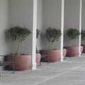 Beltless Round Concrete Planter