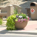 Medium Round Concrete Bowl Style Planter - 36 in. x 18 in.