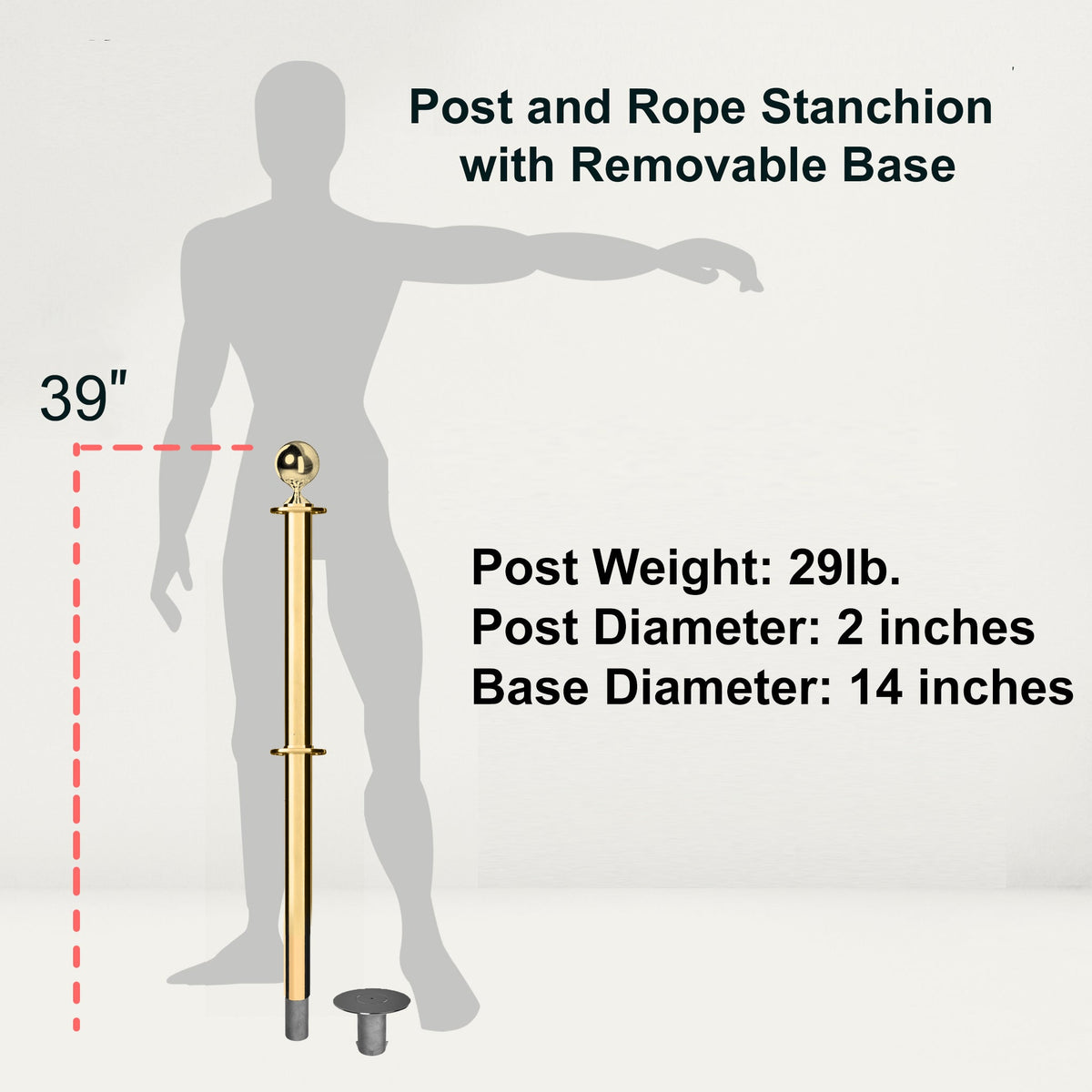 Ball Top Dual Rope Stanchion with Removable Base - Montour Line CXLineDR - Crowd Control Warehouse