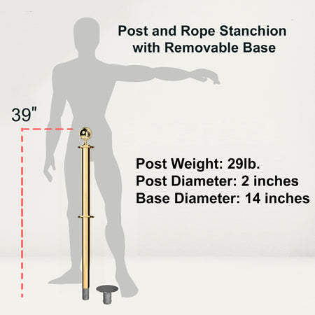 Ball Top Dual Rope Stanchion with Removable Base - Montour Line CXLineDR - Crowd Control Warehouse