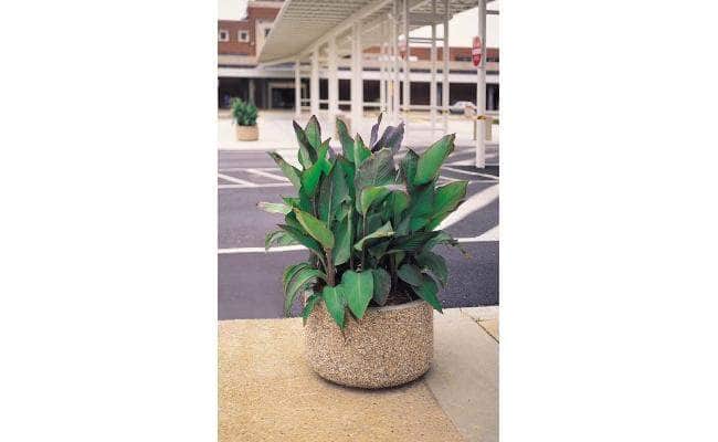 Basic Round Concrete Planter - 30 in. x 18 in. - Crowd Control Warehouse