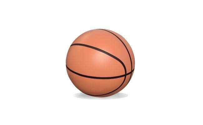 Basketball Bollard - Crowd Control Warehouse