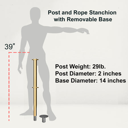 Flat Top Dual Rope Stanchion with Removable Base - Montour Line CXLineDR - Crowd Control Warehouse