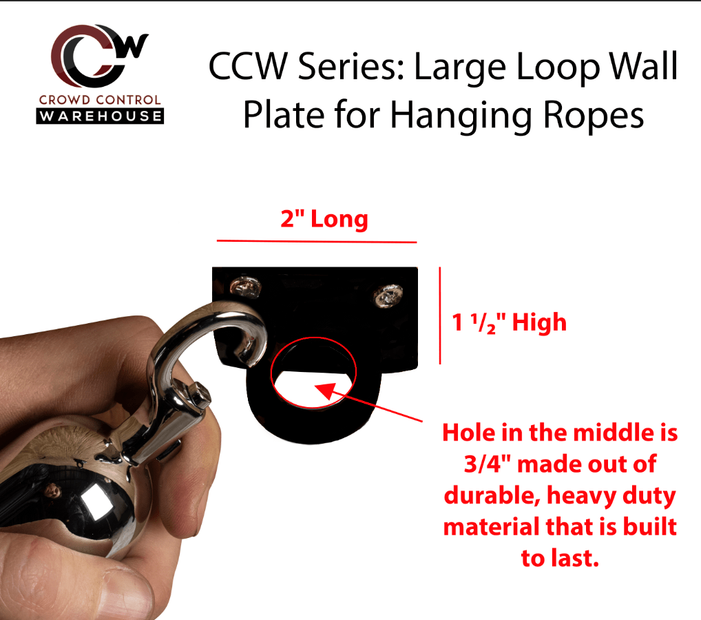 Large Loop (Dual Rope) Wall Plate Receiver for Hanging Ropes - Montour Line - Crowd Control Warehouse