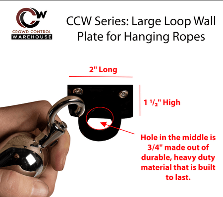 Large Loop (Dual Rope) Wall Plate Receiver for Hanging Ropes - Montour Line - Crowd Control Warehouse