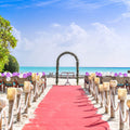 VIP Red Carpet - 8 Feet Wide, Multiple Lengths