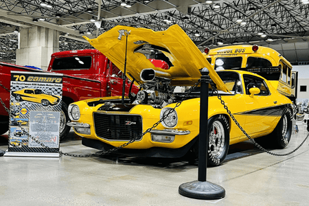 Plastic Chain, 2.0 inch links, Standard Colors from Montour Line - Crowd Control Warehouse