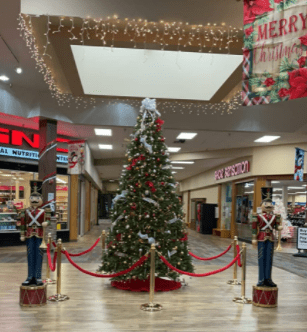 Post and Rope Stanchion Kit, Ball Top Posts, 6 Ft. Velvet Foam Core Rope - Montour Line - Crowd Control Warehouse