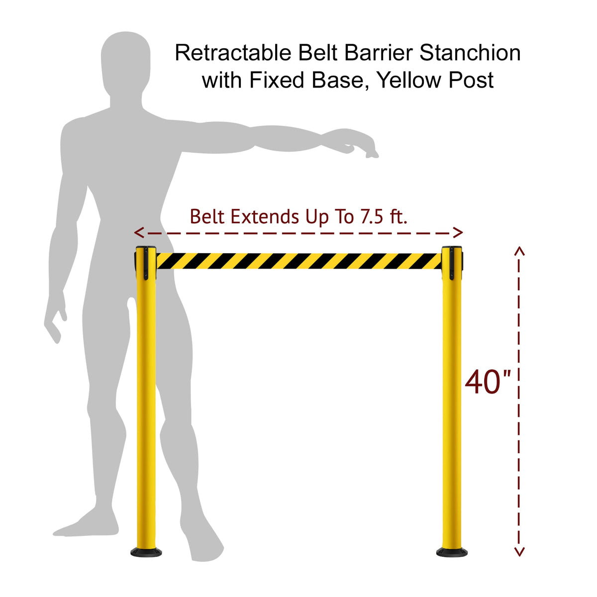 Retractable Belt Barrier Safety Stanchion, Fixed Base, Yellow Post, 7.5 Ft. Belt - Montour Line MSX630F - Crowd Control Warehouse