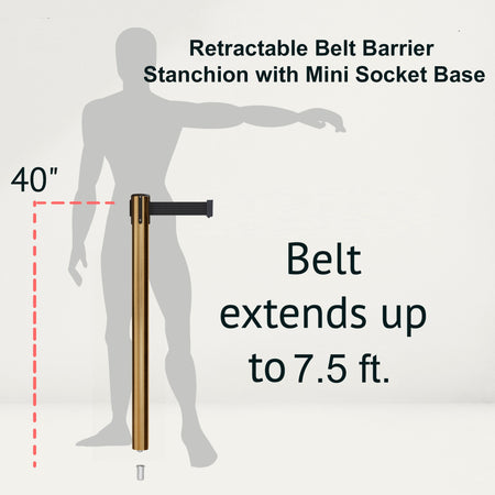 Retractable Belt Barrier Stanchion, Mini Socket Base, Satin Brass Post, 7.5 ft Belt - Montour Line MX630SK - Crowd Control Warehouse