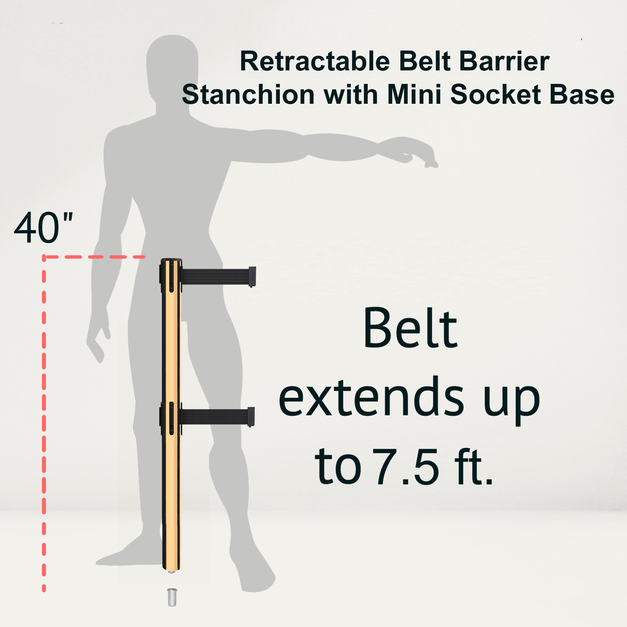 Retractable Dual Belt Barrier Stanchion, Mini Socket Base, Polished Brass Post, 7.5 ft Belt - Montour Line MX630DSK - Crowd Control Warehouse