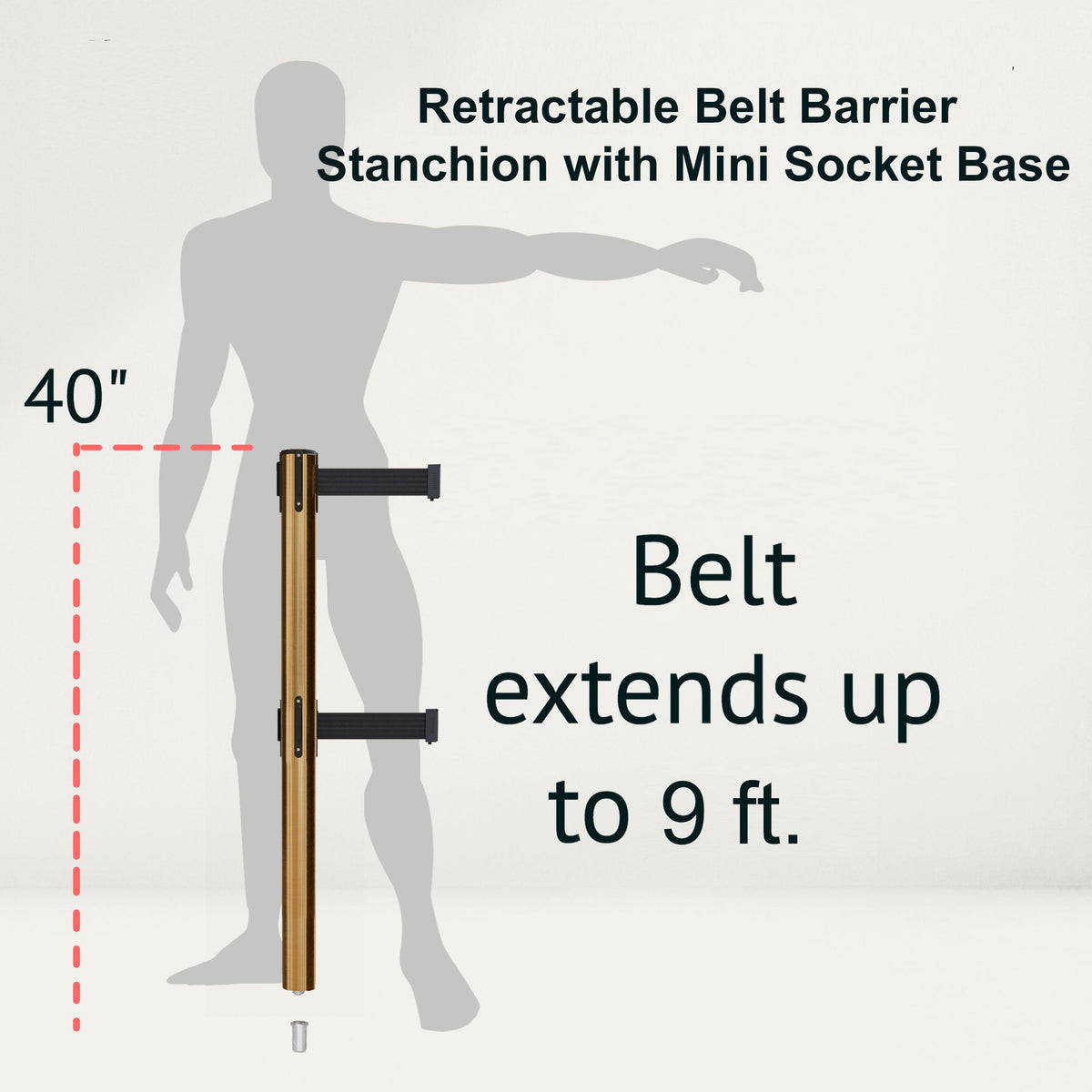 Retractable Dual Belt Barrier Stanchion, Mini Socket Base, Satin Brass Post, 9 ft Belt - Montour Line MX630DSK - Crowd Control Warehouse